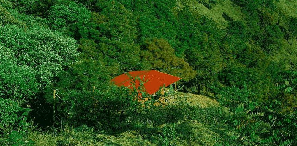 Aamod Resort Shimla Exterior foto