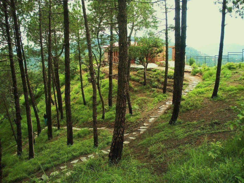 Aamod Resort Shimla Exterior foto